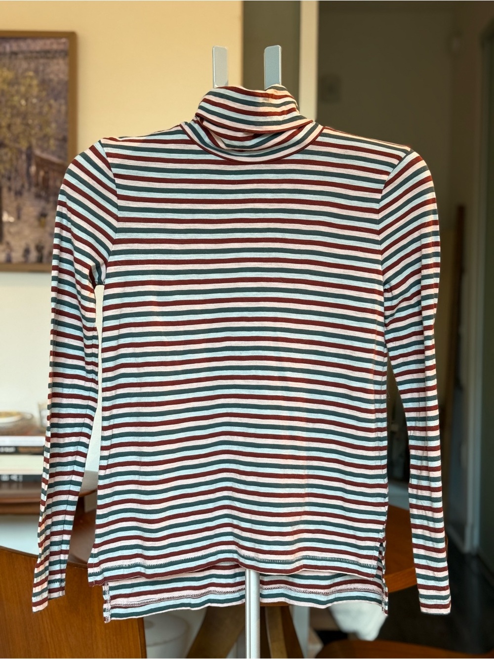 Madewell - Whisper Cotton Turtleneck in Herrick Stripe Midnight Green Colorway